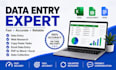 do data entry, google maps scraper, copy paste and excel data entry professional