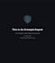 perform a professional website vulnerability assessment and security repo