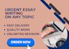 help with essay writing and assignment writing work