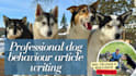 write expert articles about dog behavior