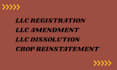 do US llc or corp reinstatement, amendment , dissolution