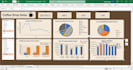 create professional excel dashboard, mis reports and data analysis