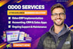 setup odoo, odoo migration, fix odoo database, odoo module or odoo customization