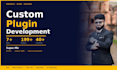 develop a custom wordpress plugin