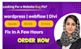 fix wordpress bugs elementor ,divi issues, website edits and updates