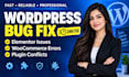 fix wordpress website bugs, divi and php errors