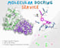 virtual screening docking of protein ligand docking