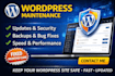 provide monthly wordpress maintenance updates security and support