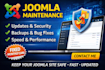 provide monthly joomla website maintenance updates and support