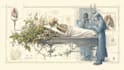 do medical and scientific illustrations