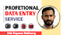 data entry, copy paste, data scraping, email leads, pdf to excel data entry