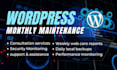 provide maintenance and support for your wordpress website
