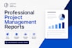 write professional project management and status reports
