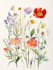 illustrate botanical linocut based on your request
