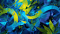do illustration expresionism art, graffity, abstract art
