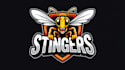make an amazing angry stingers logo with express delivery