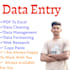 data entry in excel