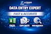 provide professional data entry and excel services