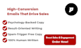 write email sequences, sales emails and launch copy for coaches and creators