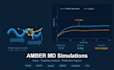 run amber molecular dynamics simulations with full trajectory analysis