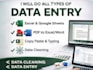 all data entry, excel and cleaning