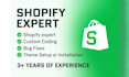 do shopify custom coding or theme customization