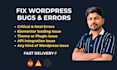 fix wordpress critical error, elementor issues and bugs fast
