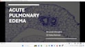 design and redesign presentation pptx, google slides, canva