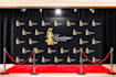 design a step and repeat or backdrop banner for you