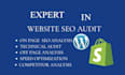 audit your website UX and provide conversion rate optimization cro strategy
