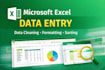 excel data cleaning  , data entry professionally