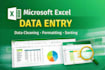 clean, format and organize your excel data professionally