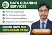 do excel data cleaning, formatting, split and merge data