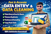 do data entry and clean your data professionally