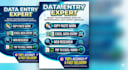do professional data entry, copy paste and web research