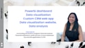 develop custom CRM web app, python data visualization website, powerbi dashboard