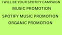 be your spotify campaign