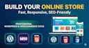build professional responsive website or eshop
