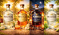 design professional wine bottle labels and packaging