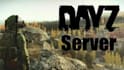 create a fully immersive dayz rp server with custom mods and features