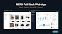 build a custom mern stack ecommerce web application