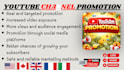 do youtube video promotion for organic channel growth