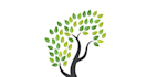 design remarkable excellent tree logo