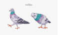 draw cute and funny stickers, characters, animals, objects