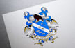 design a custom and professional crest logo