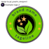 creat logo for brand and companies