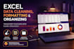 do professional excel data cleanup