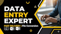 do professional data entry and file conversion