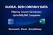 provide global b2b company data by country and industry