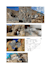 provide mineral operation sulotions and suggestions in peru
